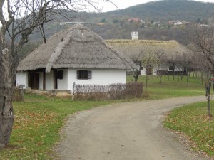 Houses in museum