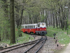 Train up through the woods
